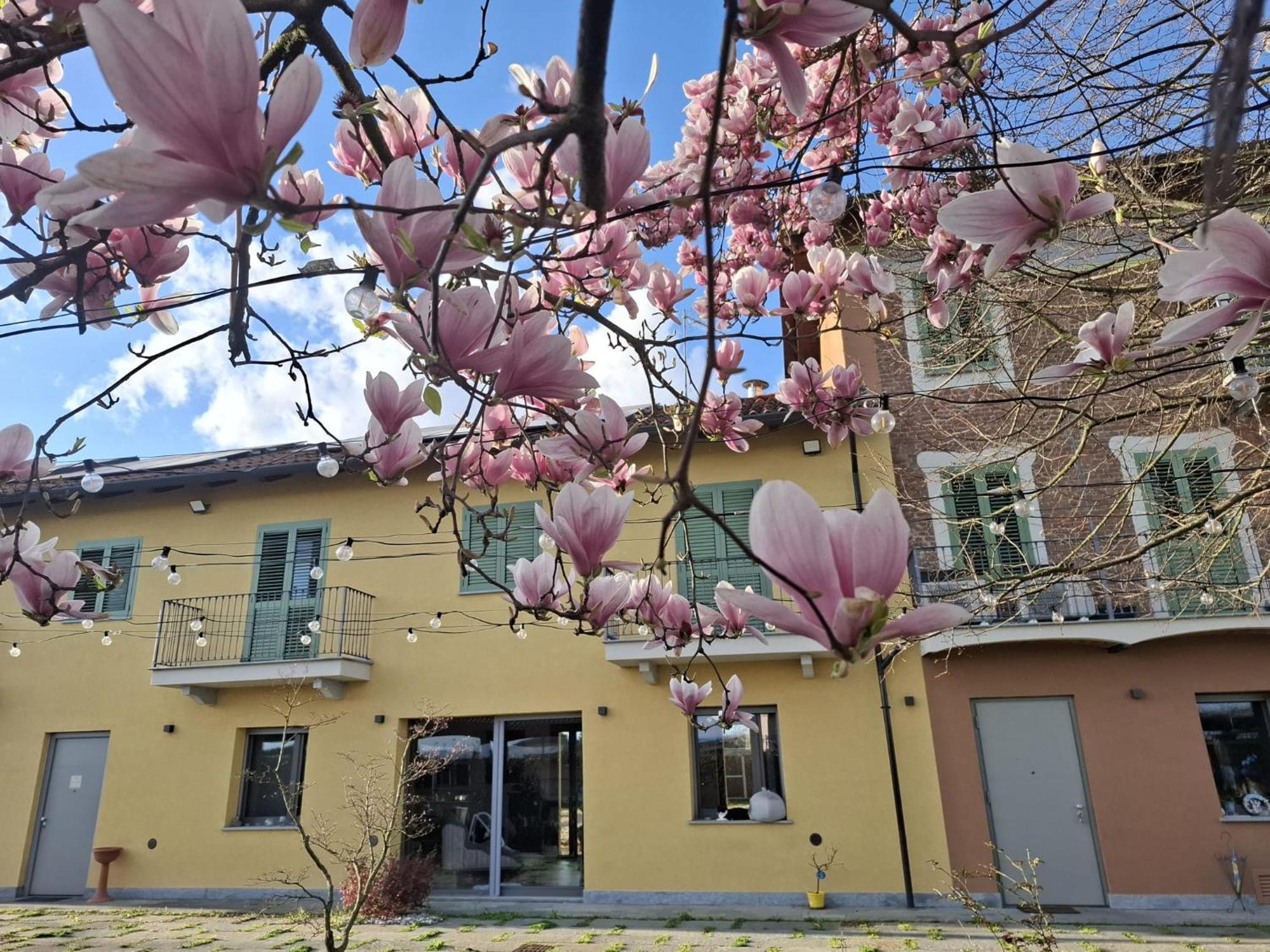 Villa Albina La Loggia 外观 照片