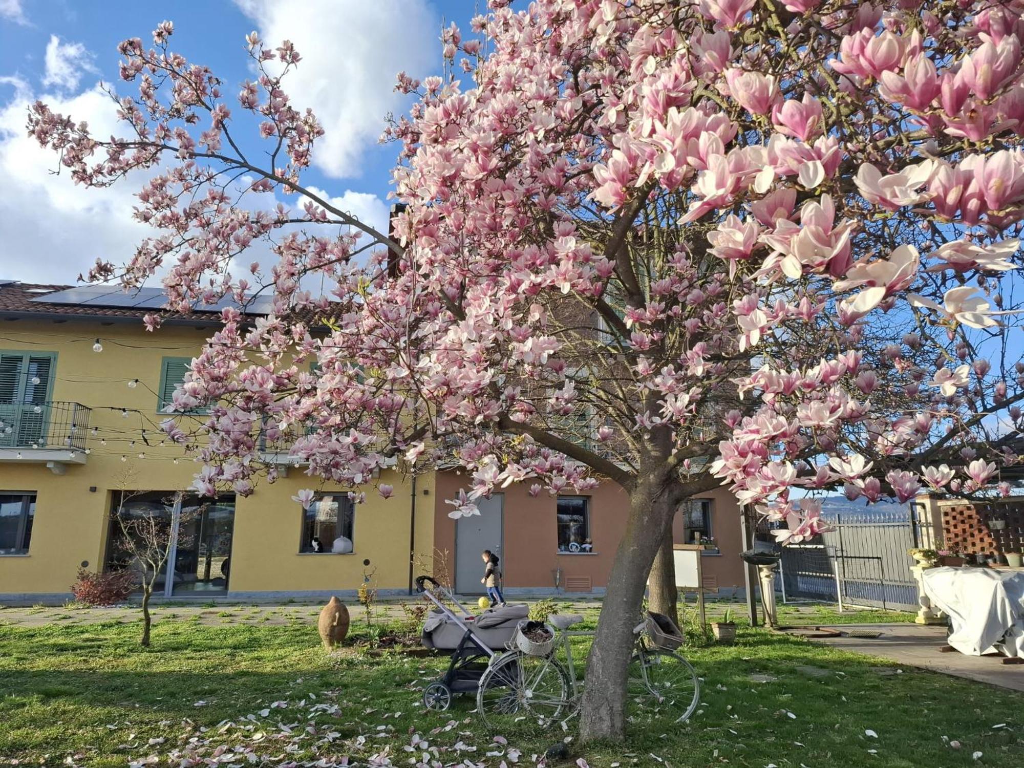 Villa Albina La Loggia 外观 照片